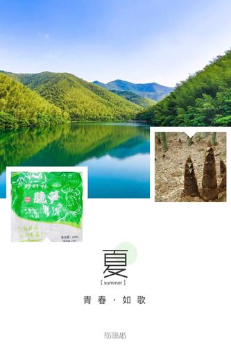 野生笋片,江西鹏华笋业厂家直销批发零售,笋片纯绿色食品明月山60万亩